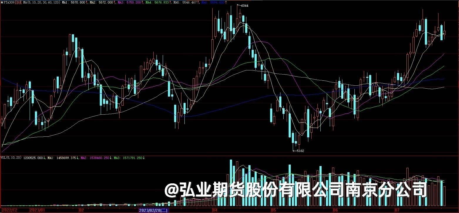 【每日资讯】2023-07-25