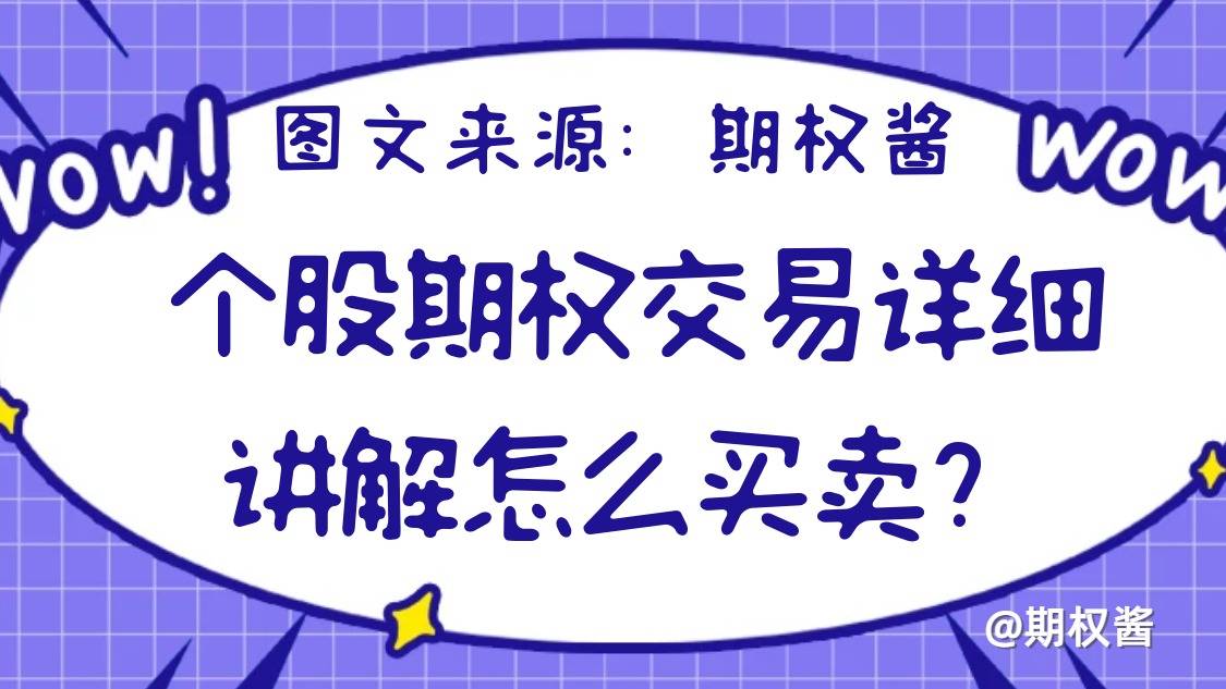 2024年期权的交易手续费标准是多少？